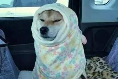 為什么說冬季采暖室溫不超過22℃最舒適最健康？(圖2)